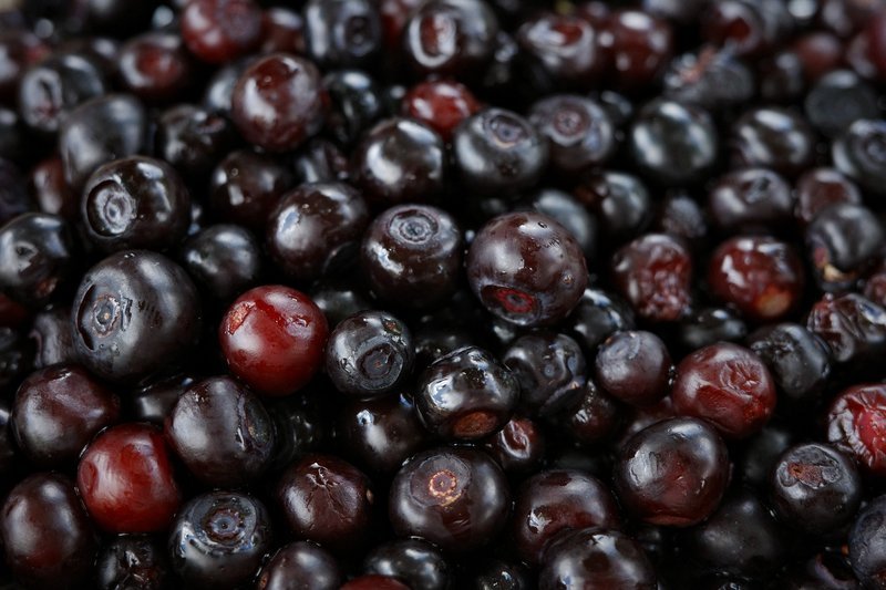 Wyld official elderberry brand macro showing dark whole elderberries used as the brand's signature product imagery