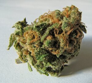 Macro shot of a cannabis flower bud showing dense trichome coverage and orange pistils, similar to top-shelf indoor flower stocked at Torrey Holistics