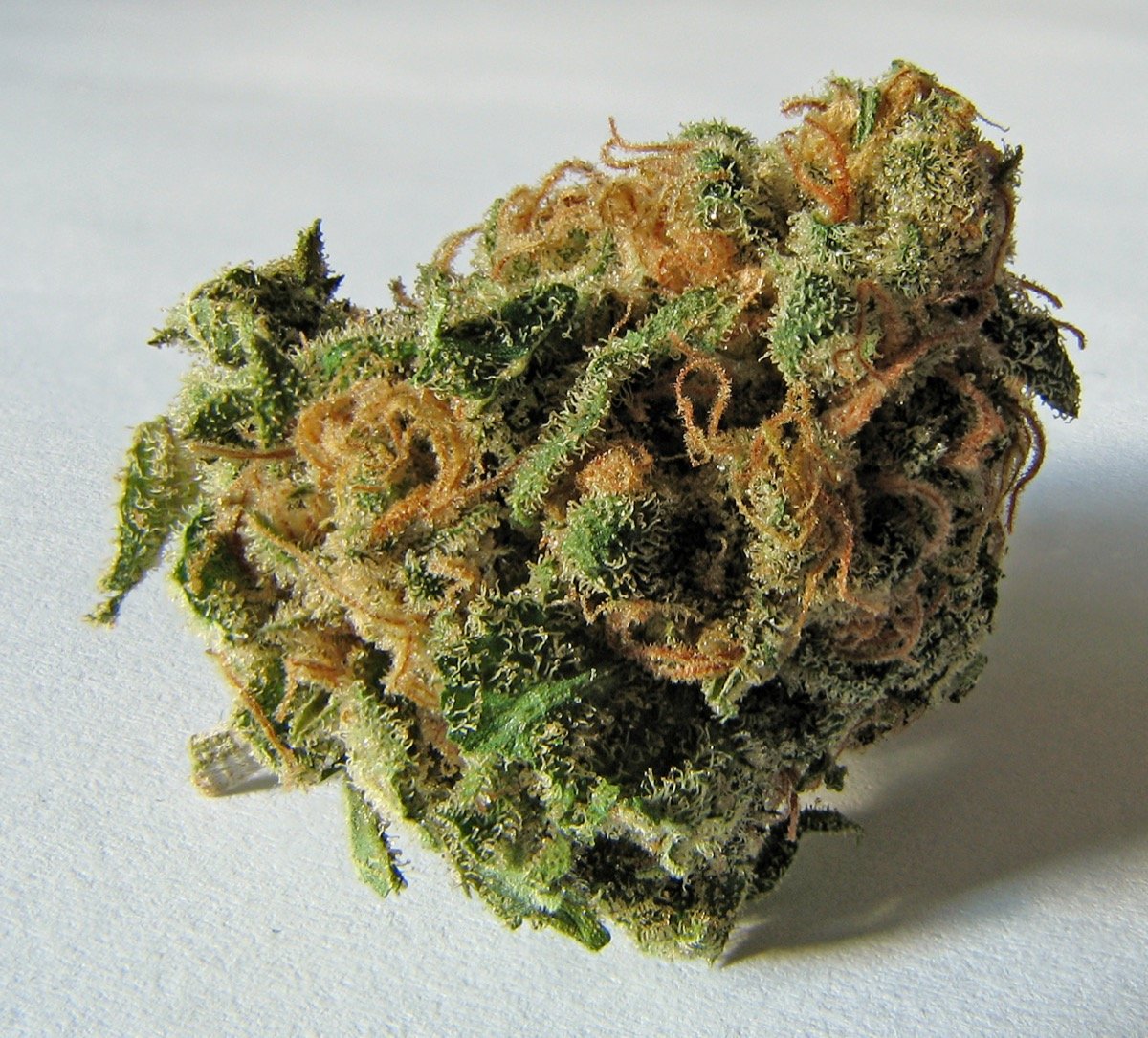 Macro shot of a cannabis flower bud showing dense trichome coverage and orange pistils, similar to top-shelf indoor flower stocked at Torrey Holistics