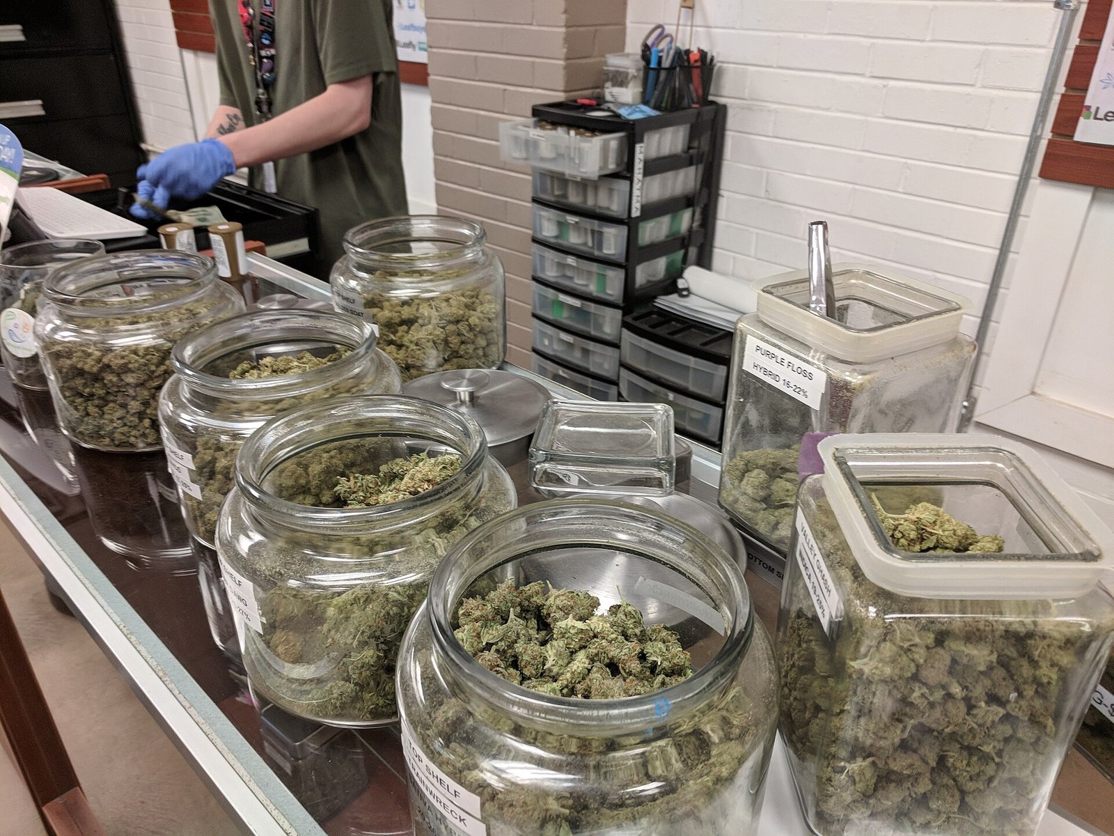 Cannabis flower jars in glass display with a gloved budtender behind a Detroit-area dispensary counter