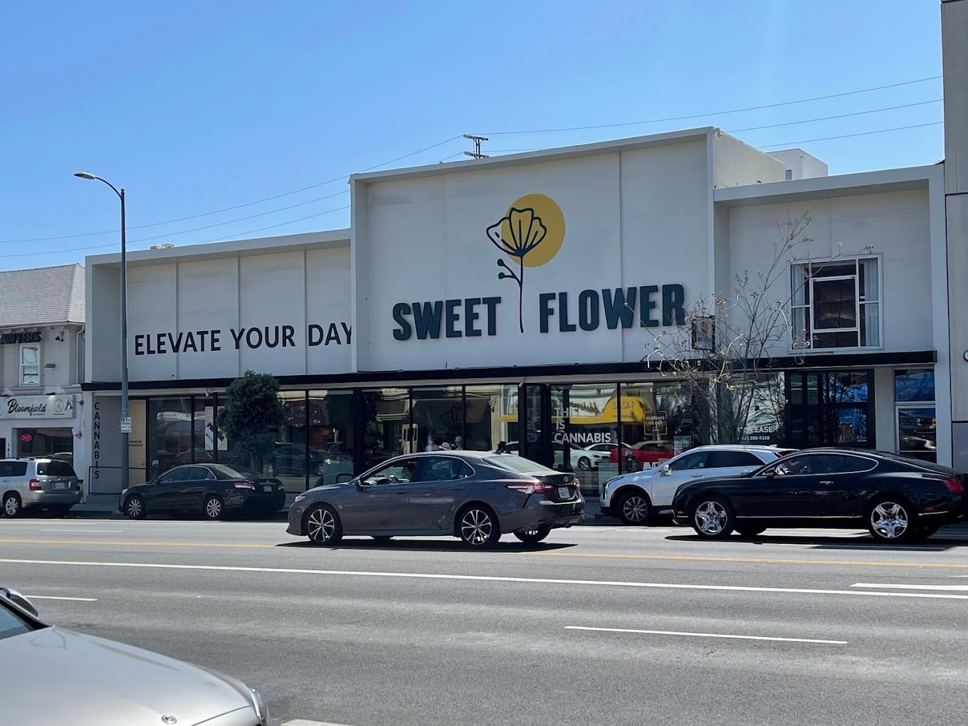 Sweet Flower storefront with the chain's poppy logo and Elevate Your Day tagline