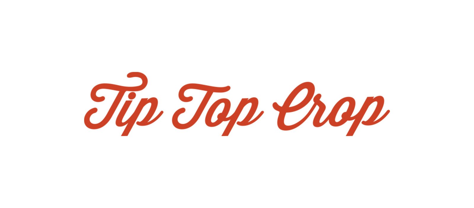 Tip Top Crop wordmark, Hazel Park Michigan craft indoor flower brand