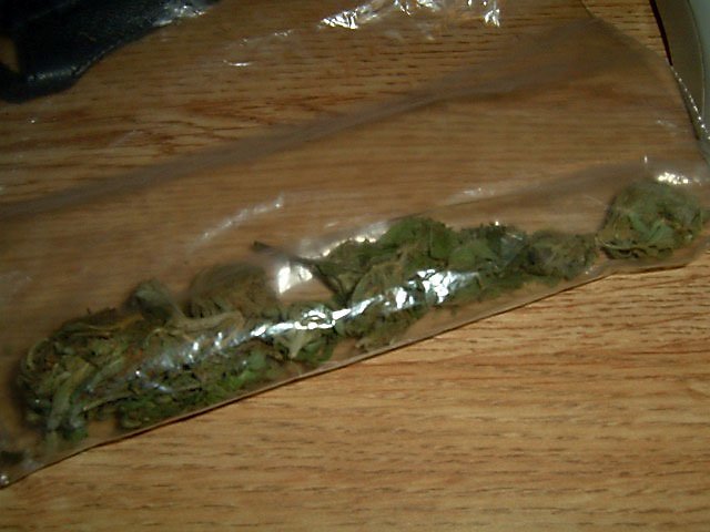 Close-up of cannabis flower buds, a generic macro shot used to illustrate dense indica-type bud structure