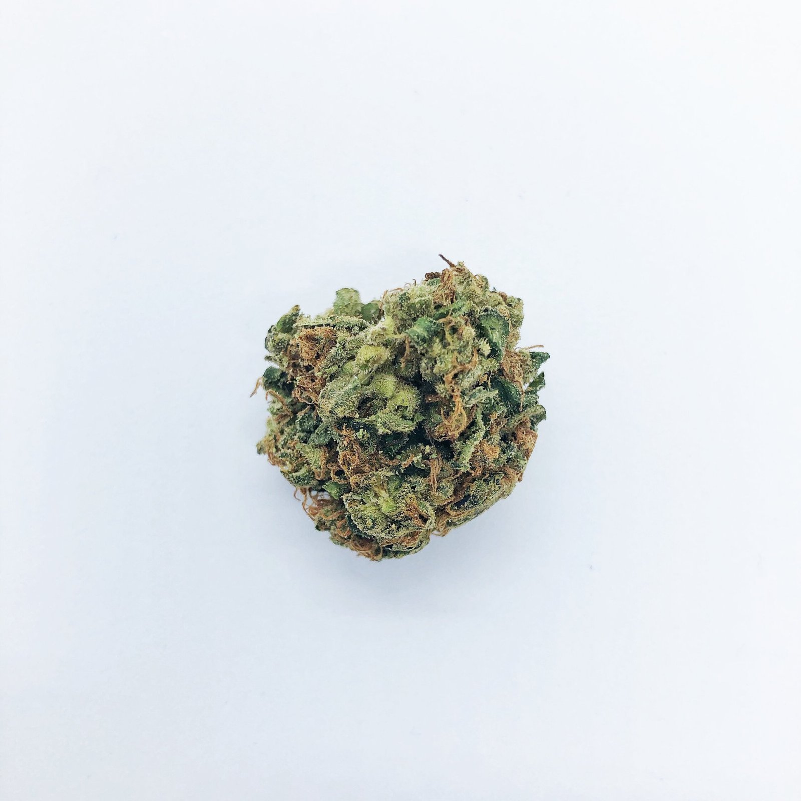 Close-up of a trichome-covered cannabis nug, illustrating resin coverage typical of dense indica strains