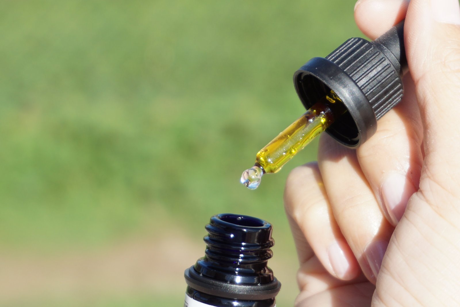 A bottle of CBD hemp oil with a dropper, the type of low-THC product sold openly in Mexican wellness shops